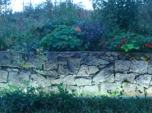 Garten Licht